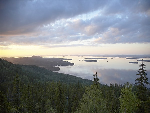 koli_kesailta_600x450