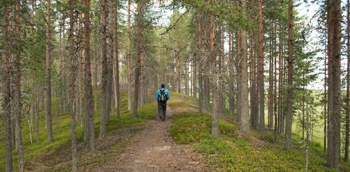 kalmosarkka-SirkeSeppanen