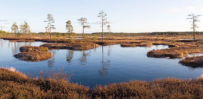 Säynäjälampi Säynäjäsuo Suomussalmi lokakuu