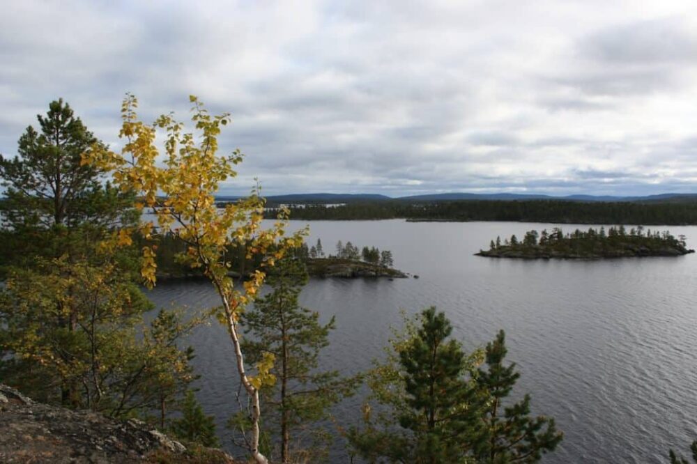 tuntsan erämaa-alue